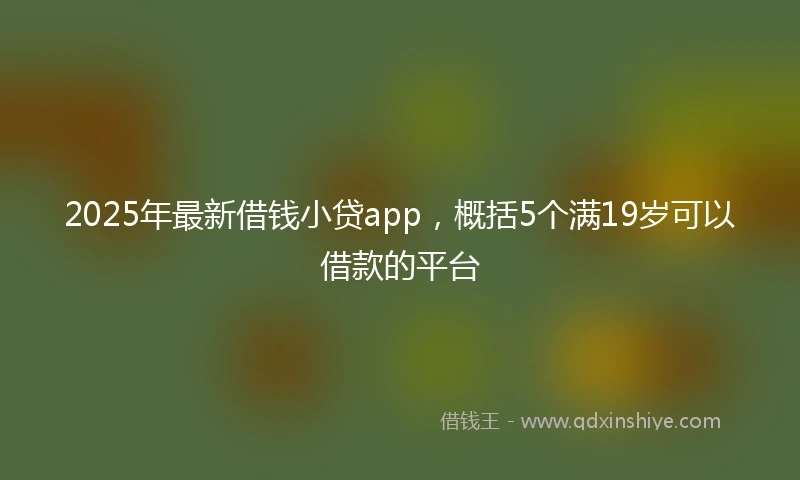 2025年最新借钱小贷app，概括5个满19岁可以借款的平台