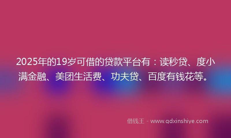 2025年的19岁可借的贷款平台有：读秒贷、度小满金融、美团生活费、功夫贷、百度有钱花等。