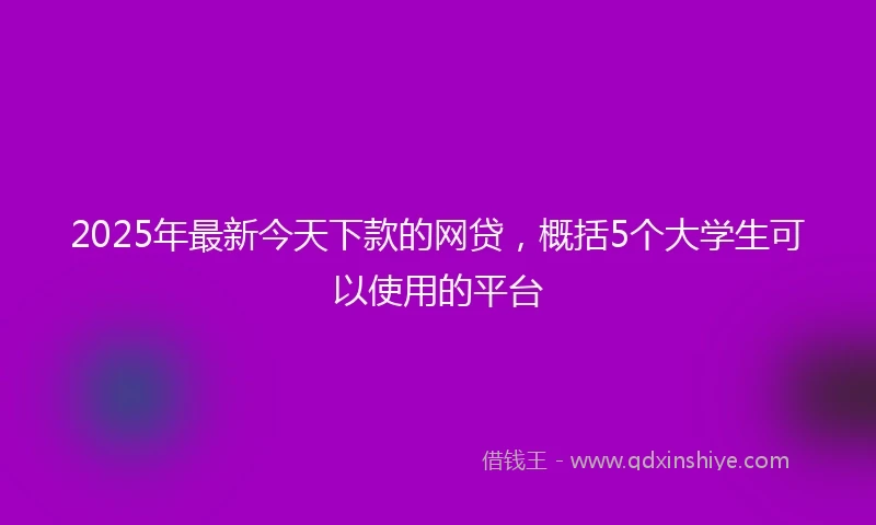 2025年最新今天下款的网贷，概括5个大学生可以使用的平台