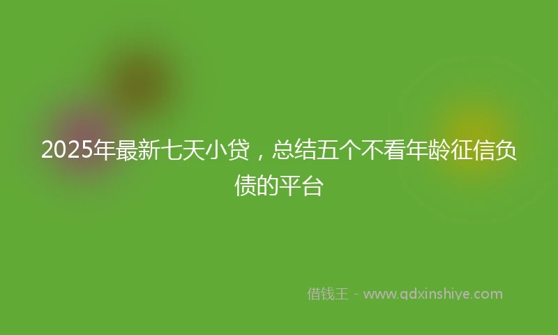 2025年最新七天小贷，总结五个不看年龄征信负债的平台