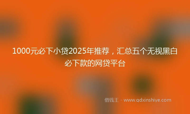 1000元必下小贷2025年推荐，汇总五个无视黑白必下款的网贷平台