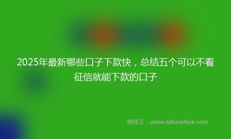 2025年最新哪些口子下款快，总结五个可以不看征信就能下款的口子