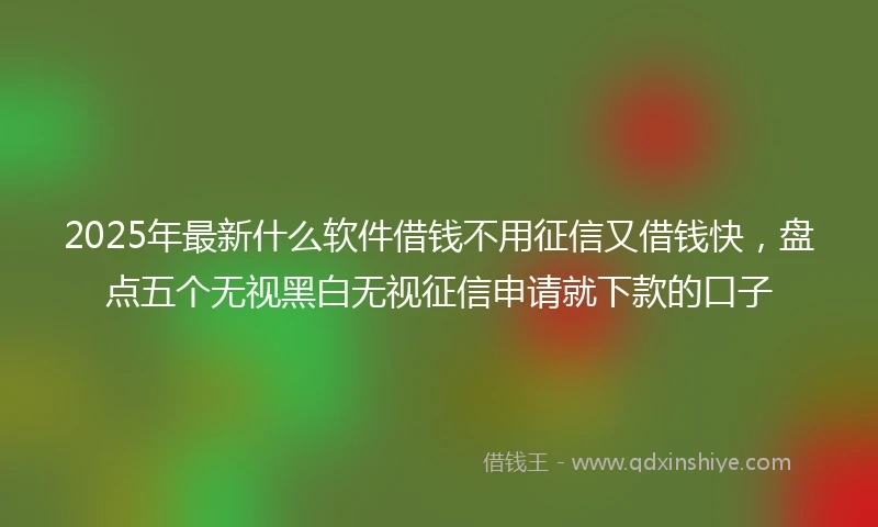 2025年最新什么软件借钱不用征信又借钱快，盘点五个无视黑白无视征信申请就下款的口子