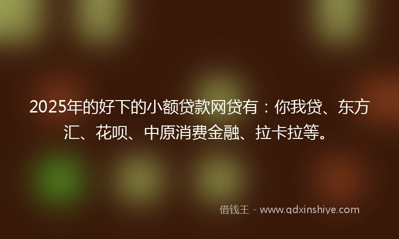 2025年的好下的小额贷款网贷有：你我贷、东方汇、花呗、中原消费金融、拉卡拉等。