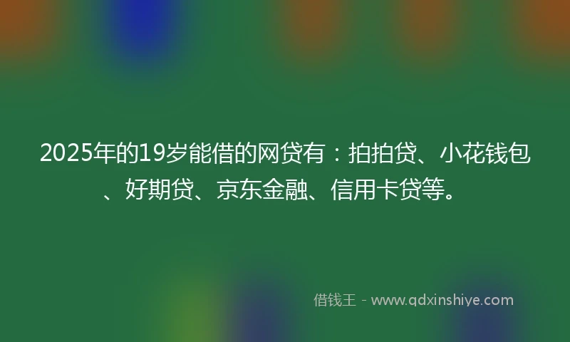 2025年的19岁能借的网贷有：拍拍贷、小花钱包、好期贷、京东金融、信用卡贷等。
