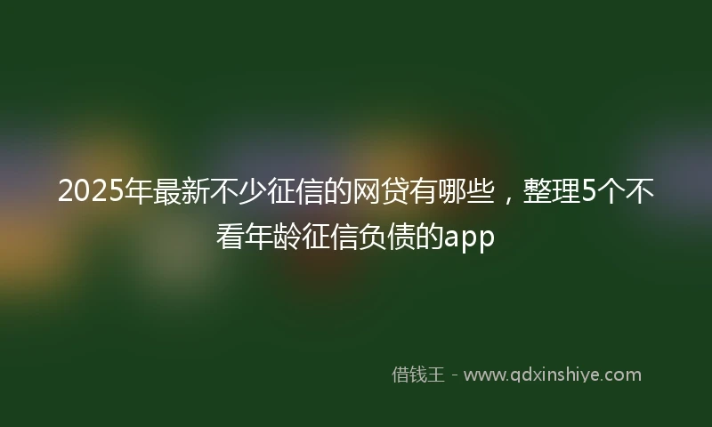 2025年最新不少征信的网贷有哪些，整理5个不看年龄征信负债的app