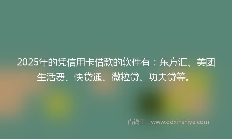 2025年的凭信用卡借款的软件有：东方汇、美团生活费、快贷通、微粒贷、功夫贷等。