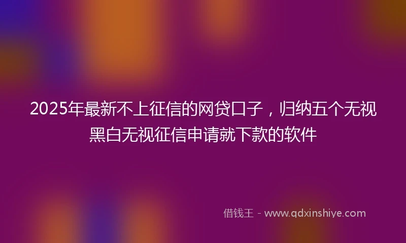 2025年最新不上征信的网贷口子，归纳五个无视黑白无视征信申请就下款的软件