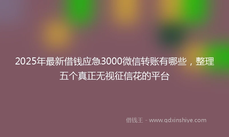 2025年最新借钱应急3000微信转账有哪些，整理五个真正无视征信花的平台