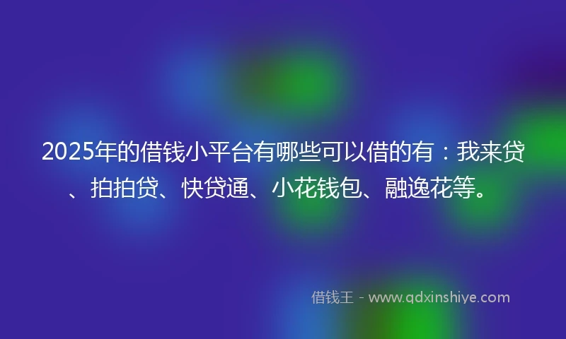 2025年的借钱小平台有哪些可以借的有：我来贷、拍拍贷、快贷通、小花钱包、融逸花等。