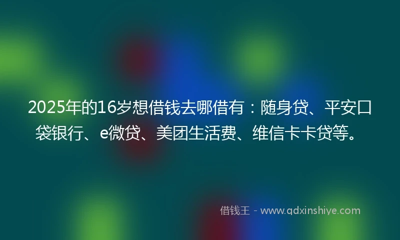 2025年的16岁想借钱去哪借有：随身贷、平安口袋银行、e微贷、美团生活费、维信卡卡贷等。