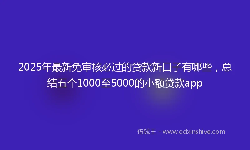2025年最新免审核必过的贷款新口子有哪些，总结五个1000至5000的小额贷款app
