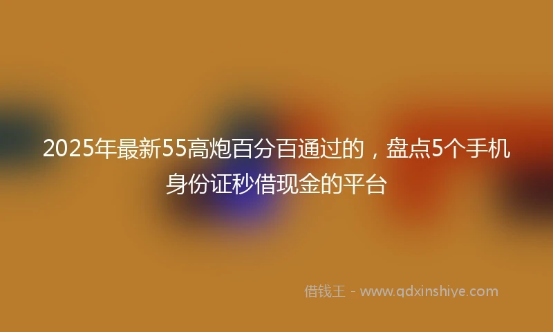 2025年最新55高炮百分百通过的，盘点5个手机身份证秒借现金的平台