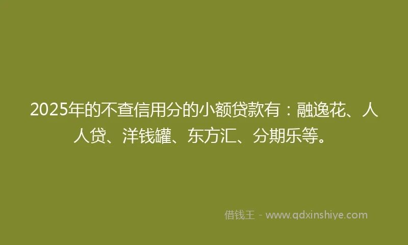 2025年的不查信用分的小额贷款有：融逸花、人人贷、洋钱罐、东方汇、分期乐等。