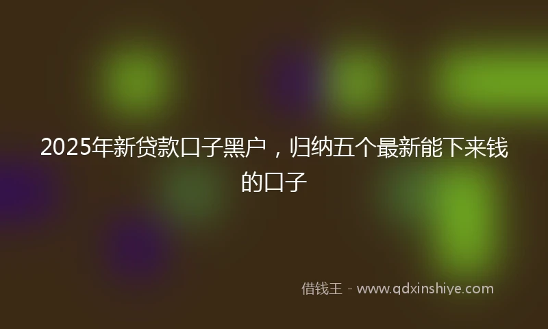 2025年新贷款口子黑户，归纳五个最新能下来钱的口子