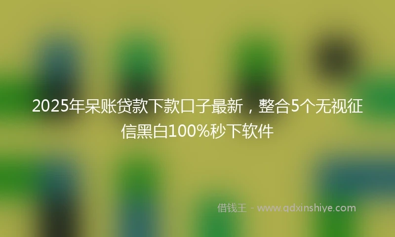 2025年呆账贷款下款口子最新，整合5个无视征信黑白100%秒下软件