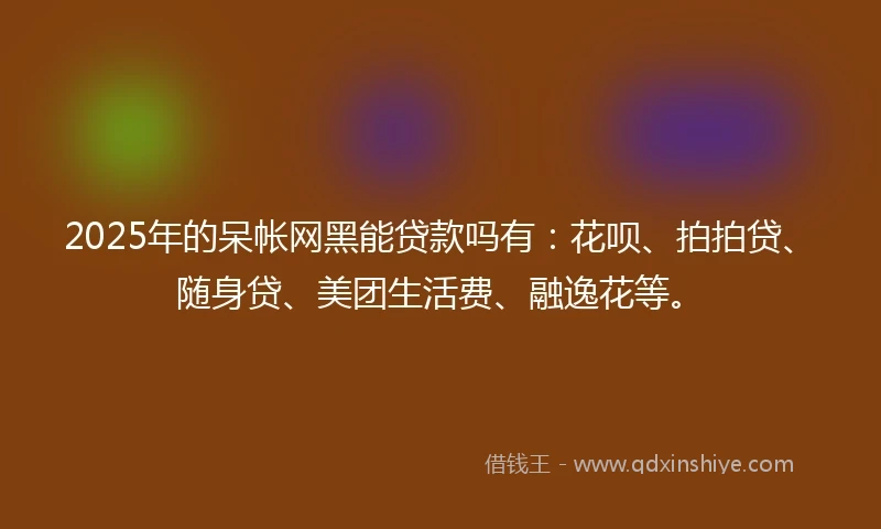 2025年的呆帐网黑能贷款吗有：花呗、拍拍贷、随身贷、美团生活费、融逸花等。