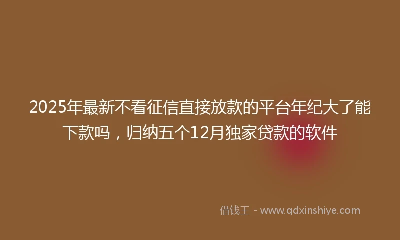 2025年最新不看征信直接放款的平台年纪大了能下款吗，归纳五个12月独家贷款的软件