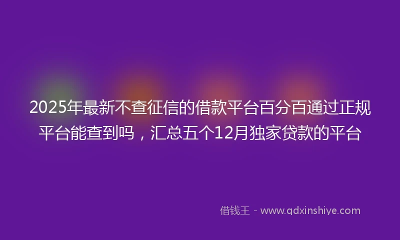 2025年最新不查征信的借款平台百分百通过正规平台能查到吗，汇总五个12月独家贷款的平台