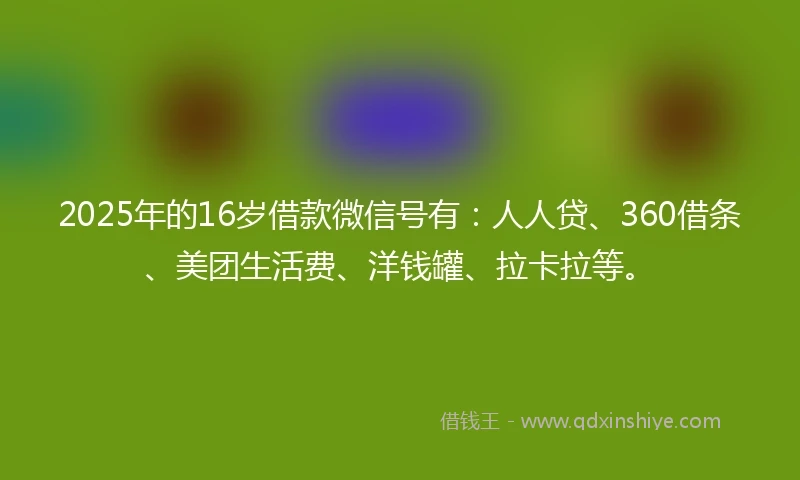 2025年的16岁借款微信号有：人人贷、360借条、美团生活费、洋钱罐、拉卡拉等。