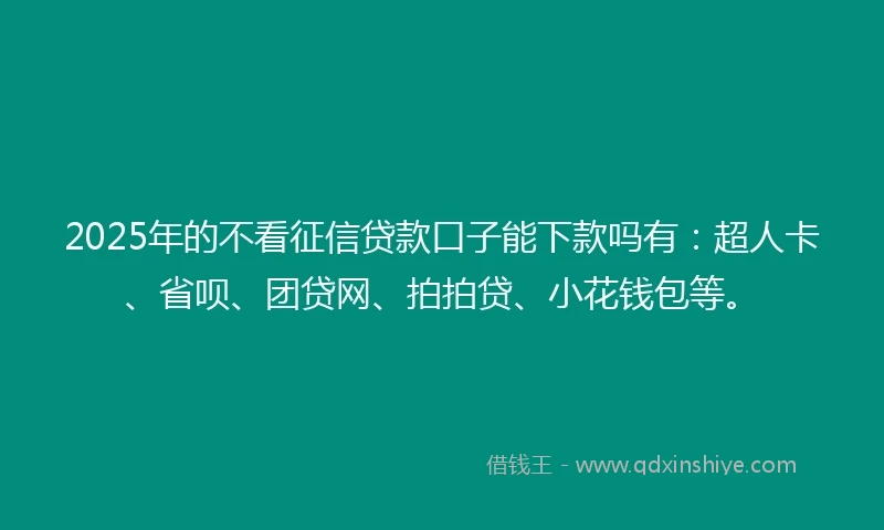 2025年的不看征信贷款口子能下款吗有：超人卡、省呗、团贷网、拍拍贷、小花钱包等。
