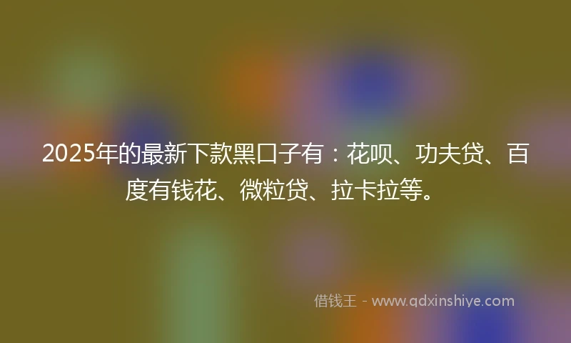 2025年的最新下款黑口子有：花呗、功夫贷、百度有钱花、微粒贷、拉卡拉等。