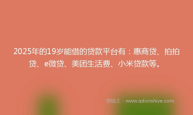 2025年的19岁能借的贷款平台有：惠商贷、拍拍贷、e微贷、美团生活费、小米贷款等。