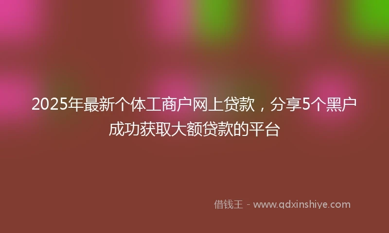 2025年最新个体工商户网上贷款，分享5个黑户成功获取大额贷款的平台