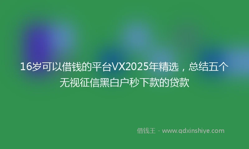 16岁可以借钱的平台VX2025年精选，总结五个无视征信黑白户秒下款的贷款