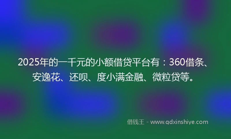 2025年的一千元的小额借贷平台有：360借条、安逸花、还呗、度小满金融、微粒贷等。