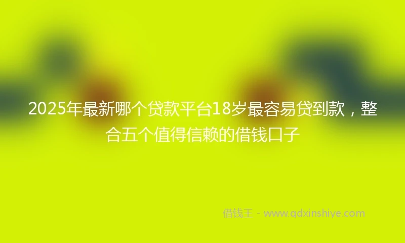 2025年最新哪个贷款平台18岁最容易贷到款，整合五个值得信赖的借钱口子