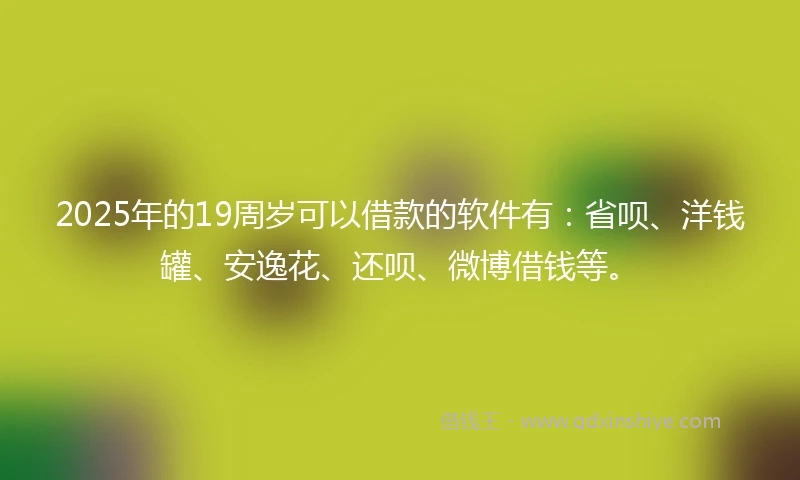 2025年的19周岁可以借款的软件有：省呗、洋钱罐、安逸花、还呗、微博借钱等。