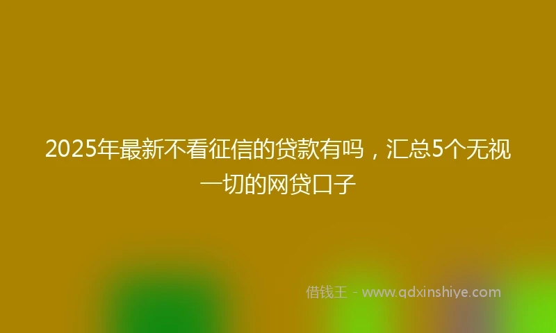 2025年最新不看征信的贷款有吗，汇总5个无视一切的网贷口子