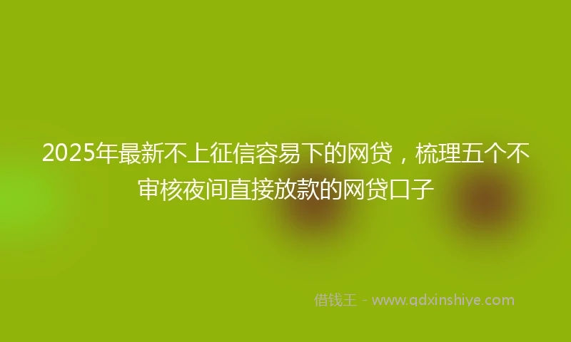 2025年最新不上征信容易下的网贷，梳理五个不审核夜间直接放款的网贷口子