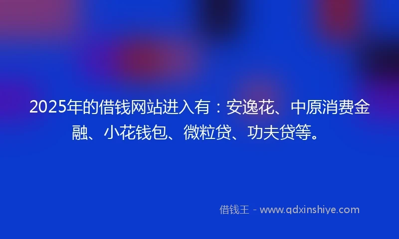 2025年的借钱网站进入有：安逸花、中原消费金融、小花钱包、微粒贷、功夫贷等。