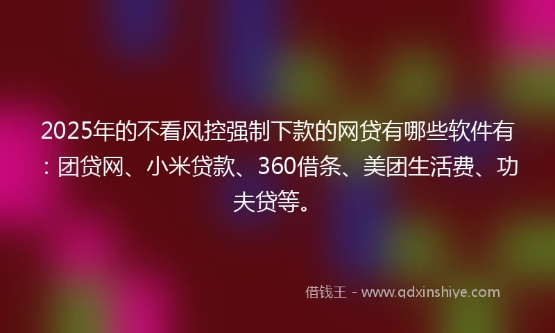2025年的不看风控强制下款的网贷有哪些软件有：团贷网、小米贷款、360借条、美团生活费、功夫贷等。