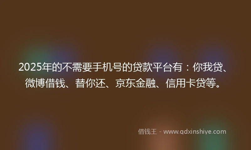 2025年的不需要手机号的贷款平台有：你我贷、微博借钱、替你还、京东金融、信用卡贷等。