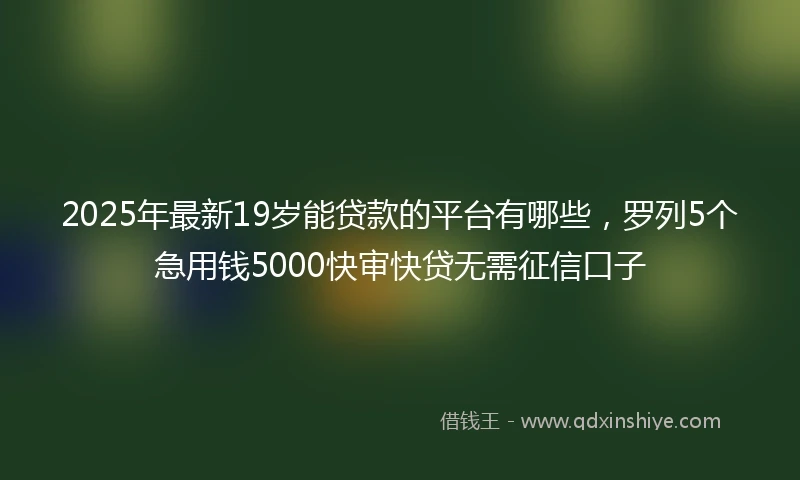 2025年最新19岁能贷款的平台有哪些，罗列5个急用钱5000快审快贷无需征信口子
