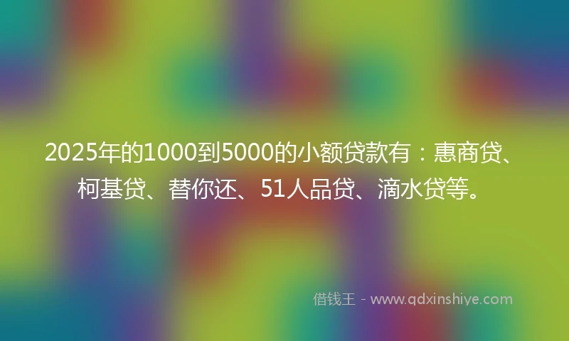 2025年的1000到5000的小额贷款有：惠商贷、柯基贷、替你还、51人品贷、滴水贷等。