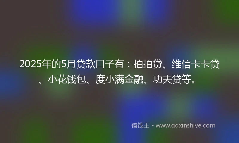 2025年的5月贷款口子有：拍拍贷、维信卡卡贷、小花钱包、度小满金融、功夫贷等。
