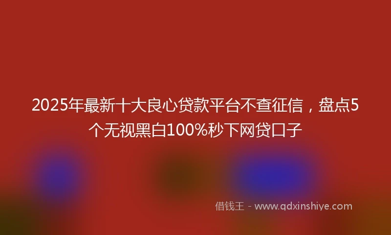 2025年最新十大良心贷款平台不查征信，盘点5个无视黑白100%秒下网贷口子