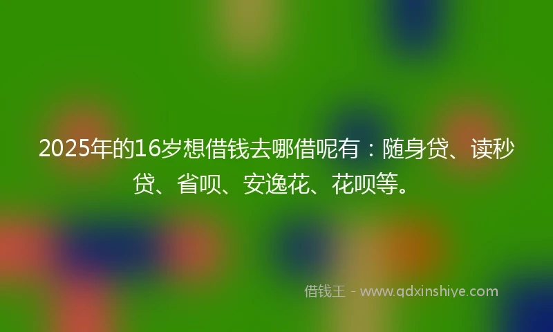 2025年的16岁想借钱去哪借呢有：随身贷、读秒贷、省呗、安逸花、花呗等。