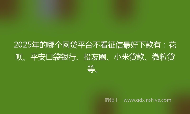 2025年的哪个网贷平台不看征信最好下款有：花呗、平安口袋银行、投友圈、小米贷款、微粒贷等。