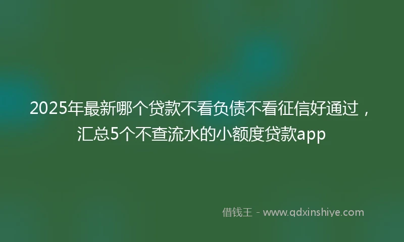 2025年最新哪个贷款不看负债不看征信好通过，汇总5个不查流水的小额度贷款app