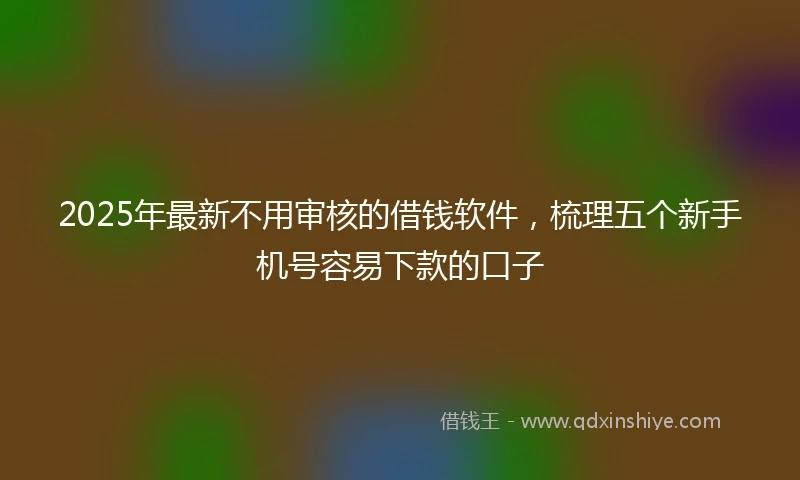 2025年最新不用审核的借钱软件，梳理五个新手机号容易下款的口子