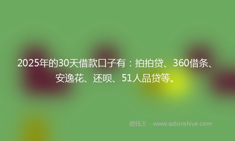 2025年的30天借款口子有：拍拍贷、360借条、安逸花、还呗、51人品贷等。