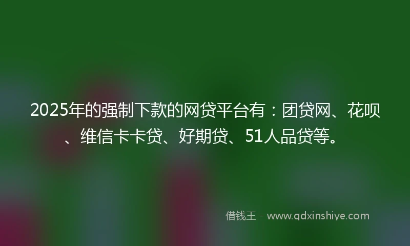 2025年的强制下款的网贷平台有：团贷网、花呗、维信卡卡贷、好期贷、51人品贷等。