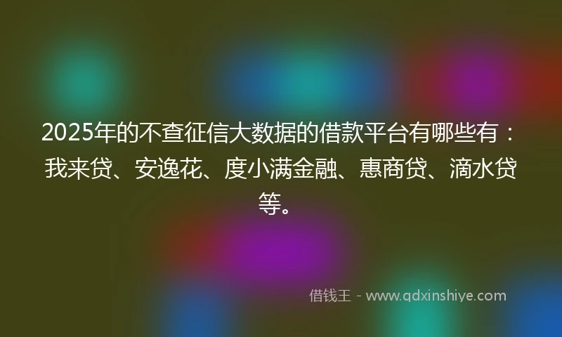 2025年的不查征信大数据的借款平台有哪些有：我来贷、安逸花、度小满金融、惠商贷、滴水贷等。