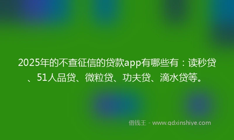 2025年的不查征信的贷款app有哪些有：读秒贷、51人品贷、微粒贷、功夫贷、滴水贷等。