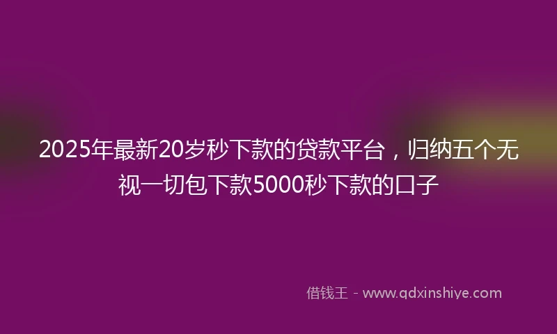2025年最新20岁秒下款的贷款平台，归纳五个无视一切包下款5000秒下款的口子